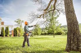 Best Tree Preservation Services  in Pine Nyon, CA